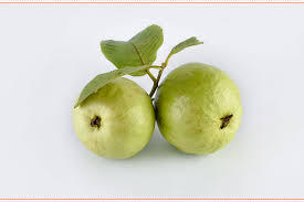guava