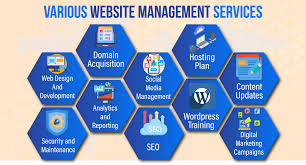 Why Your Business Needs a Custom Management Dashboard